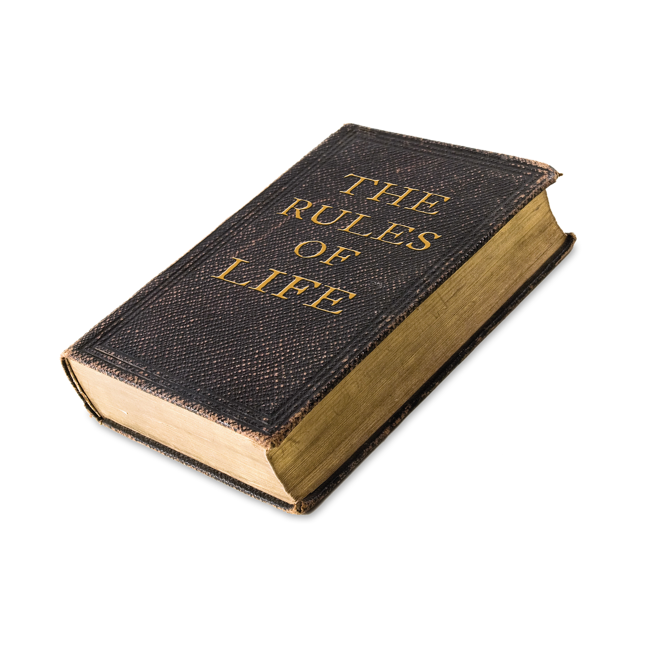 life, rules, book, rules of life, rule book, the rules of life, tome, rules, rules, rules, rules, rules, rule book